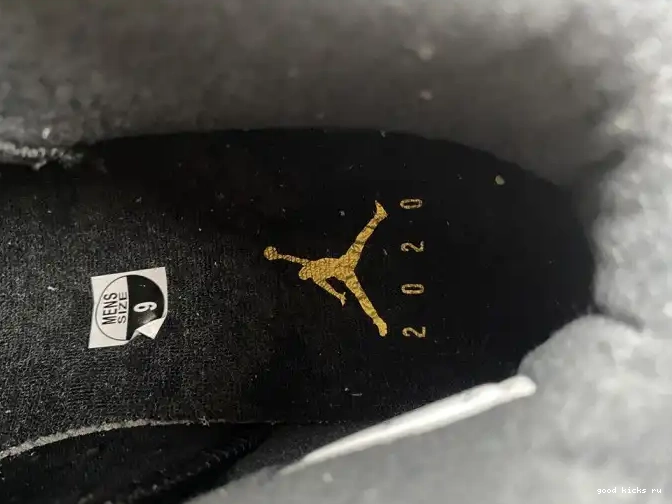 Retro Jordan Air 6 CT4954-007 DMP (2020) 0501